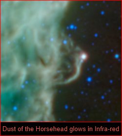 horse-head_Dust-glows-in-the-far-infra-red_WISE_5July2012_250w