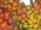 On-Line Link To - Peewah (A palm fruit)