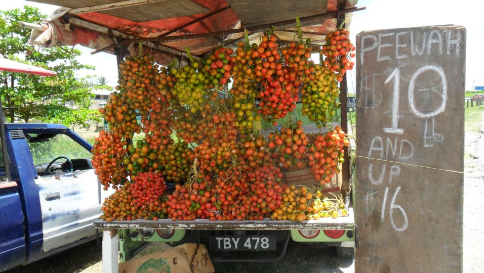 The Peewah vendor. Tarouba link-Road, San Fernando, Trinidad, TT