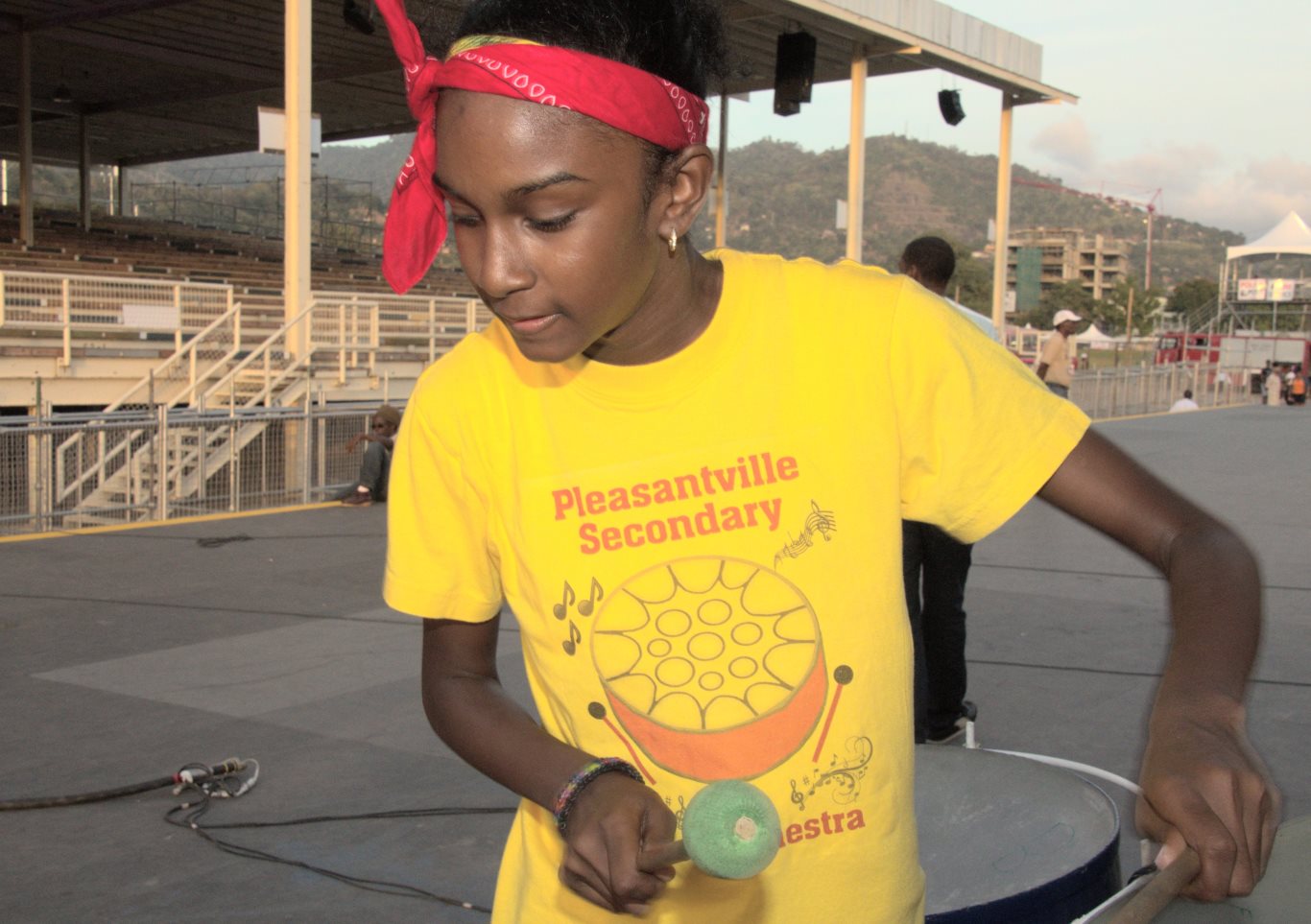 Pleasantville Secondary. 20150208 by John Schmidt