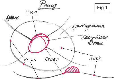 Pang note with elliptical Dome - Fig 1