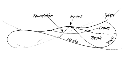 The Areas of a Steelpan Note - Fig 1